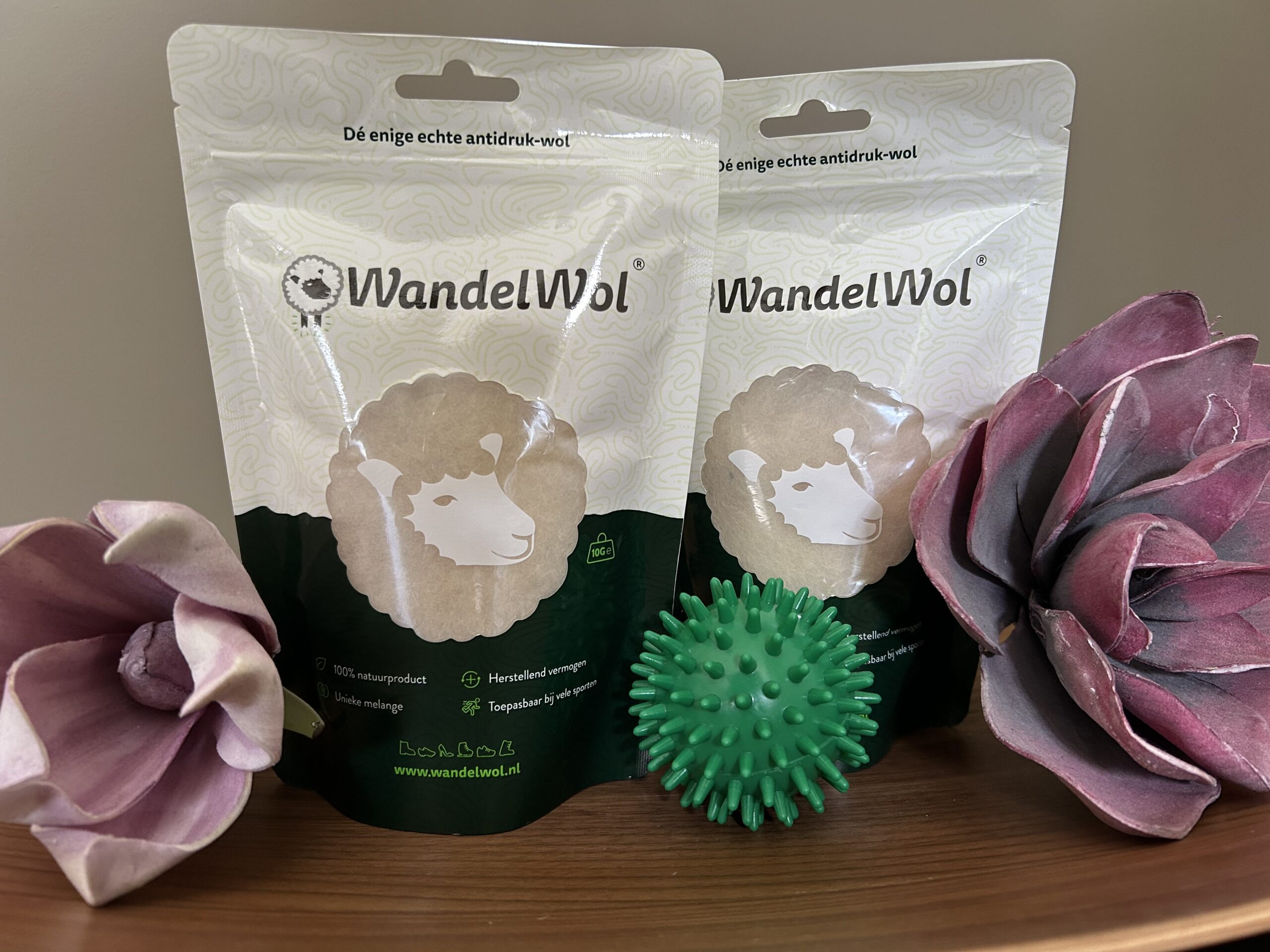 Wandelwol